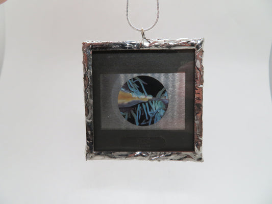 Microscopic Sea Anemone 1970s Slide Pendant