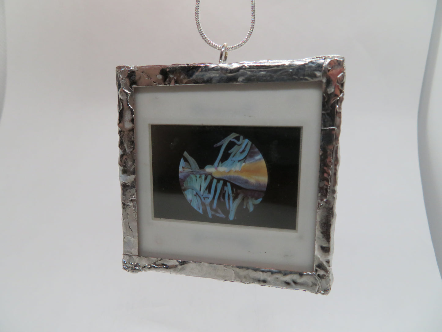 Microscopic Sea Anemone 1970s Slide Pendant
