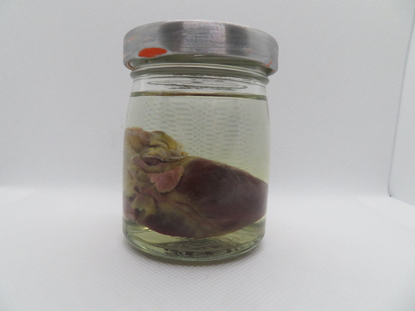 Raccoon Heart (Small) (A)