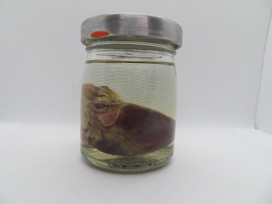 Raccoon Heart (Small) (A)