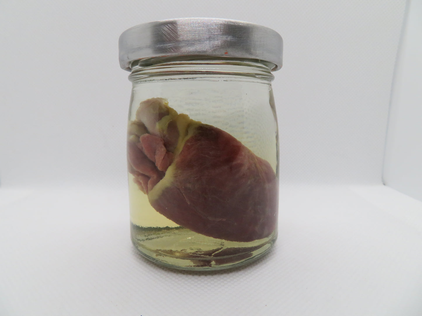 Raccoon Heart (Med) (D)