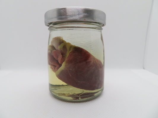 Raccoon Heart (Med) (D)