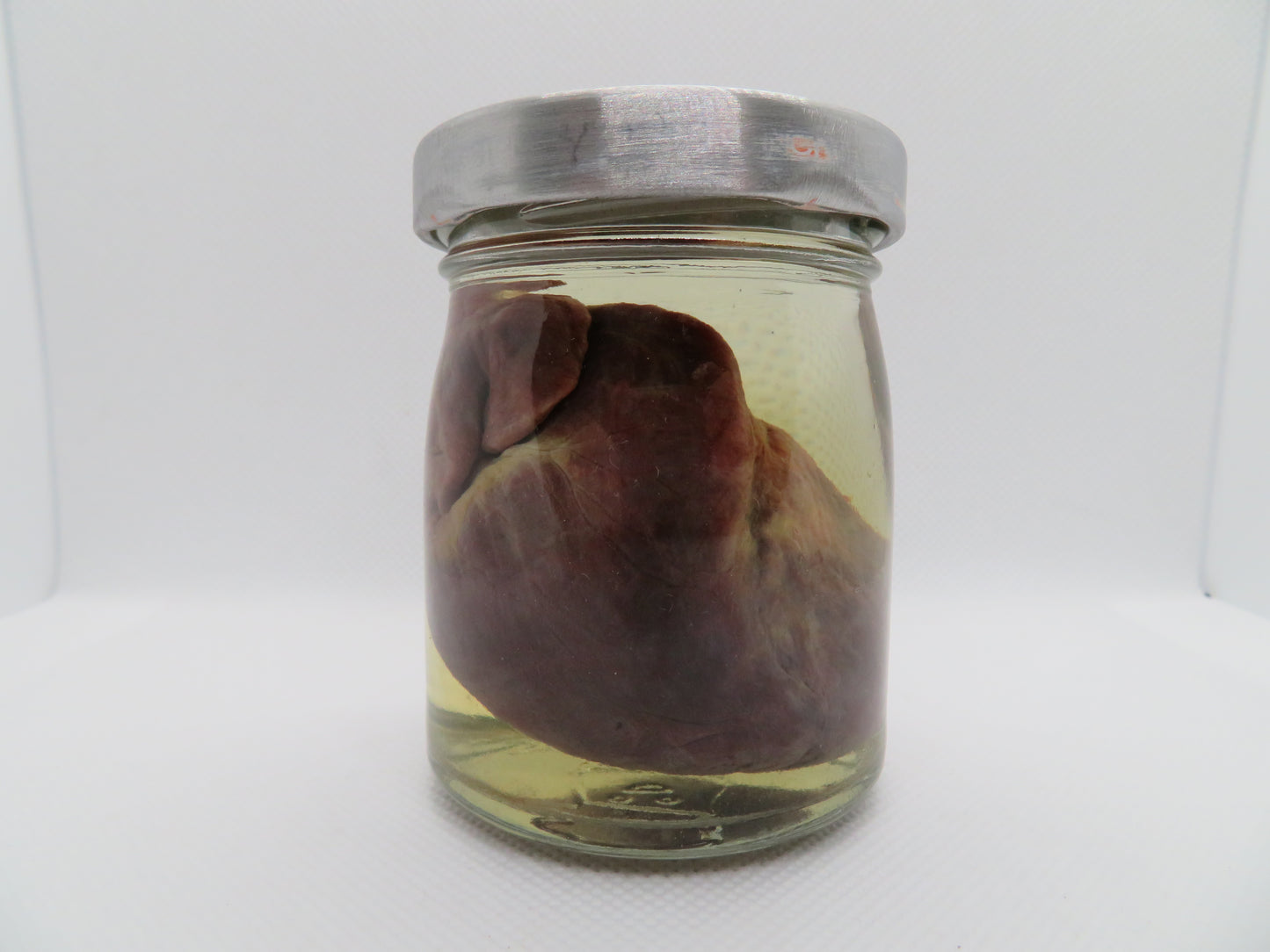 Raccoon Heart (large) (B) Small Jar