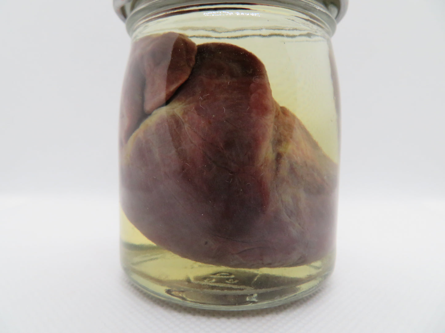 Raccoon Heart (large) (B) Small Jar