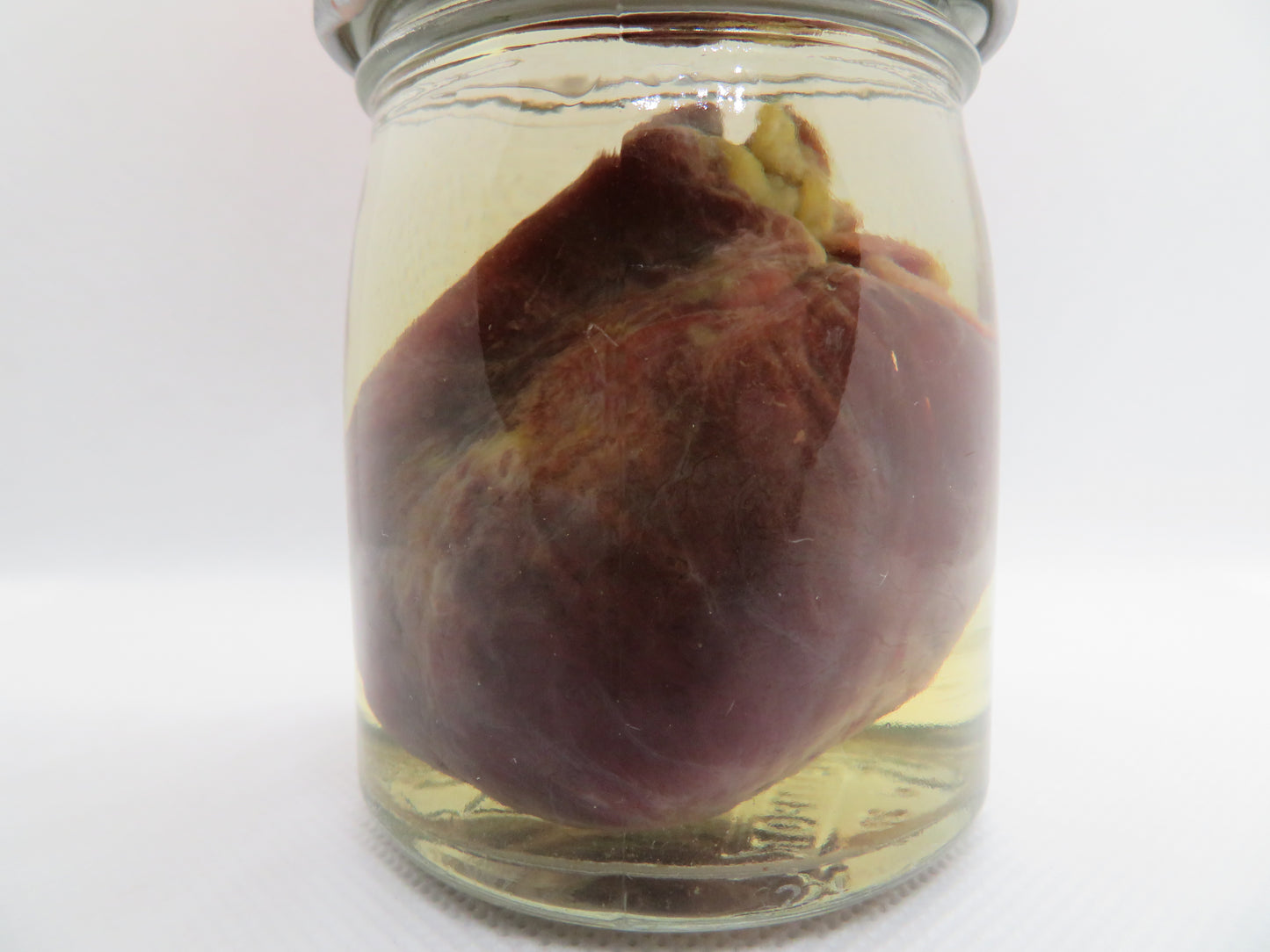 Raccoon Heart (large) (B) Small Jar