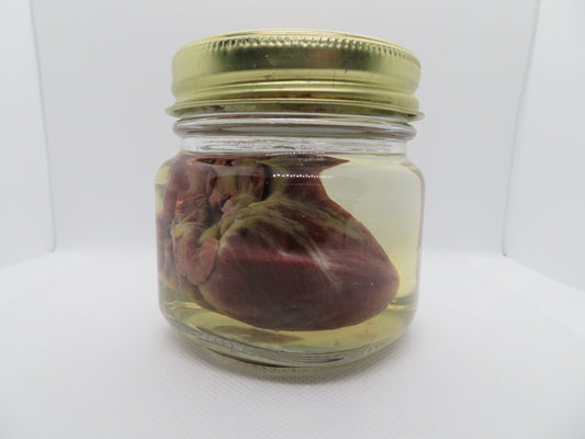 Raccoon Heart (Large) Square Jar W/ Bronze Cap
