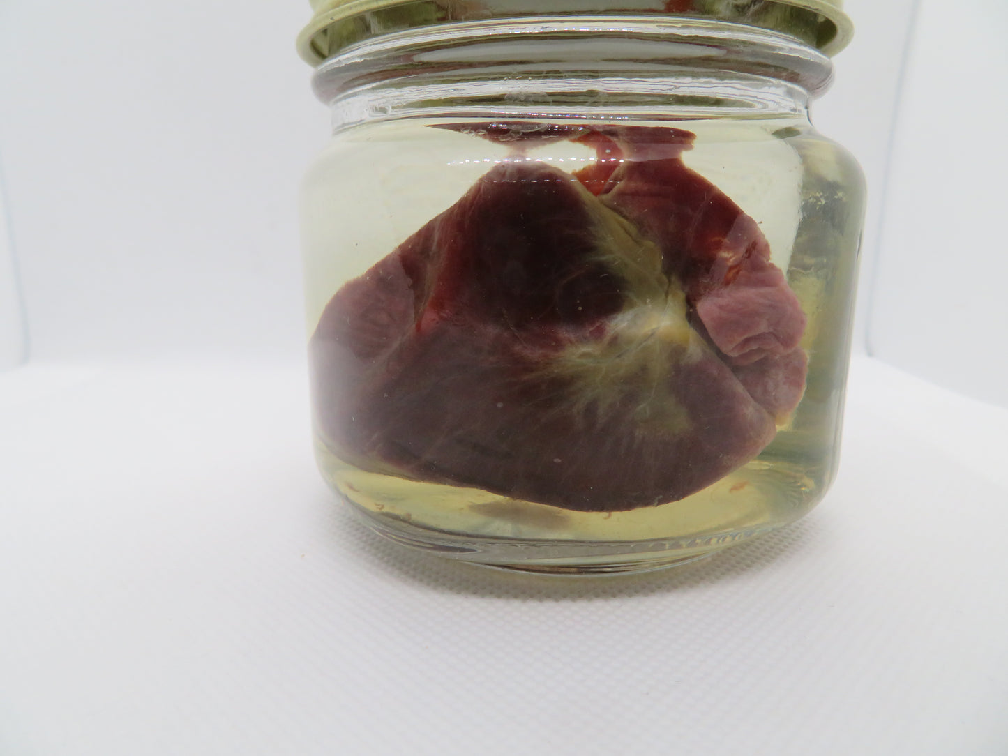 Raccoon Heart (Large) Square Jar W/ Bronze Cap