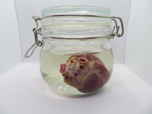 Red Fox Heart (Med)