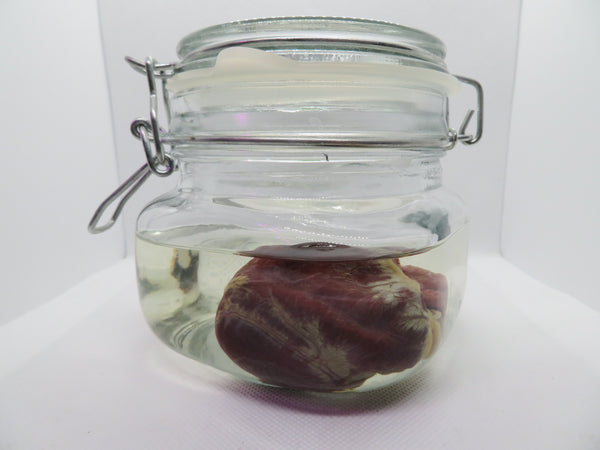 Red Fox Heart (Small)